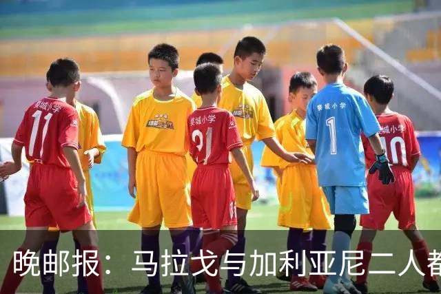 晚邮报：马拉戈与加利亚尼二人都尚未获得11家意甲俱乐部支持